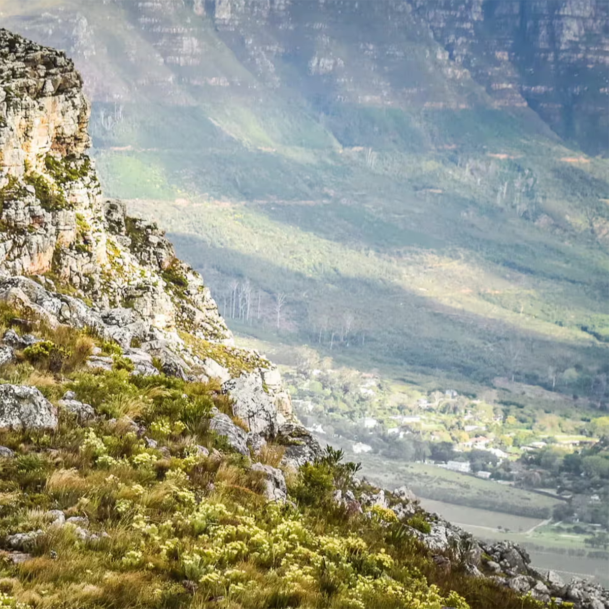 mountain.png