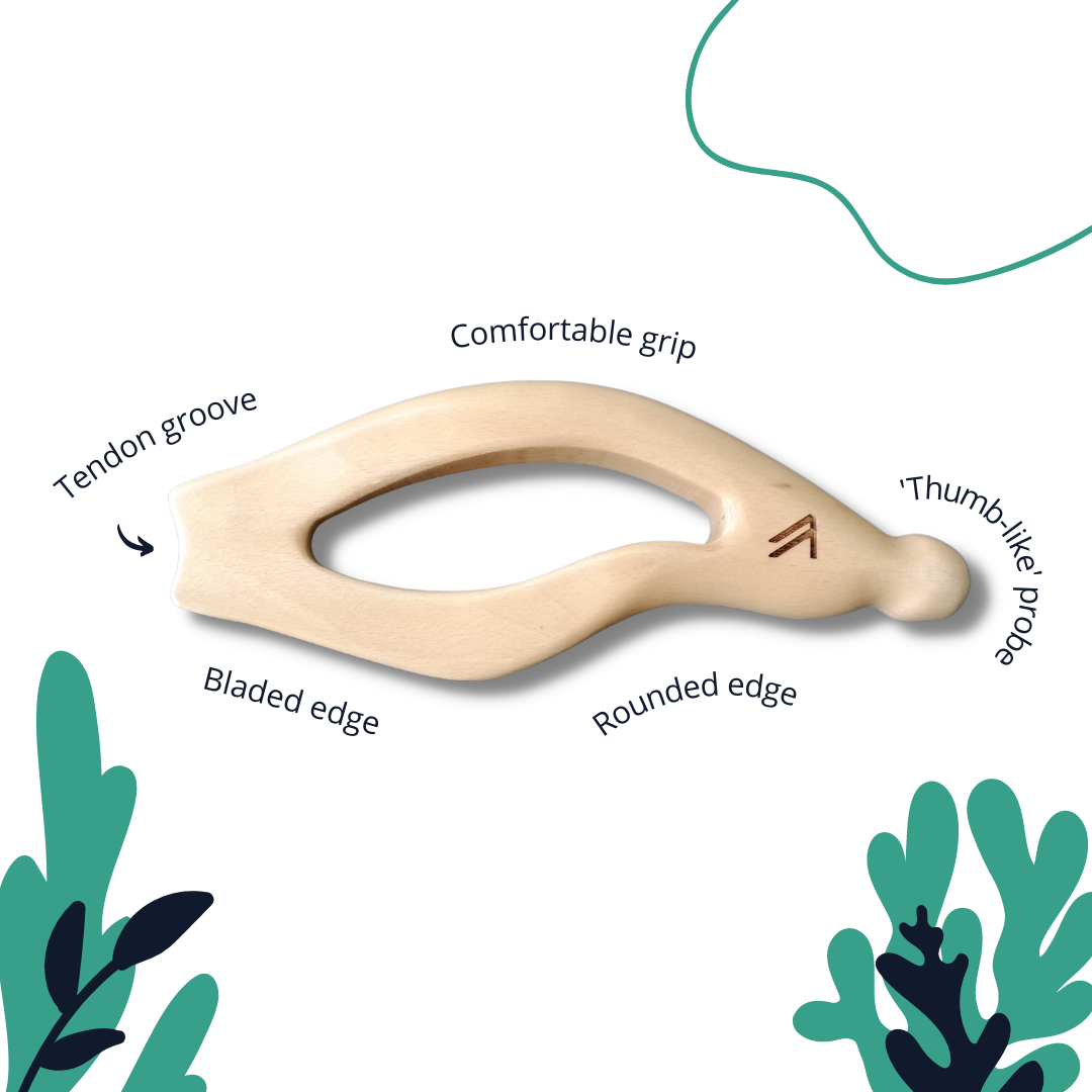 ZlaantShark - Handheld Massage Tool