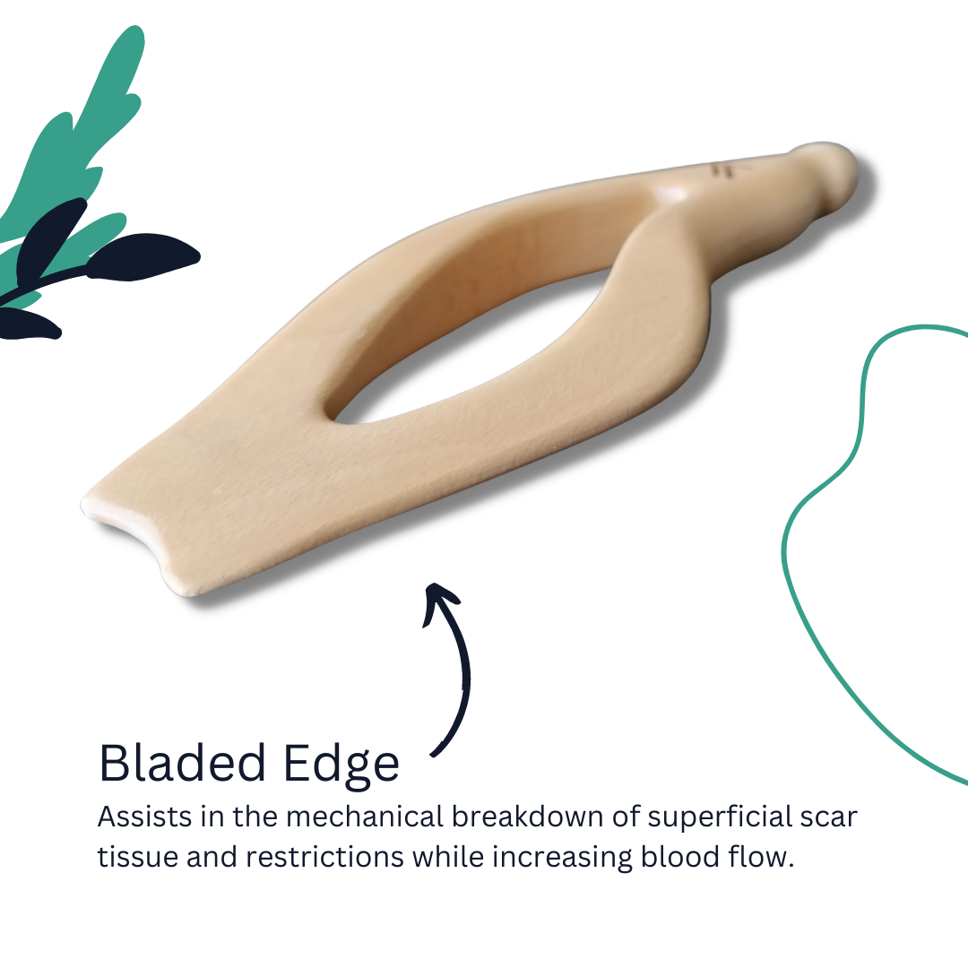 ZlaantShark - Handheld Massage Tool