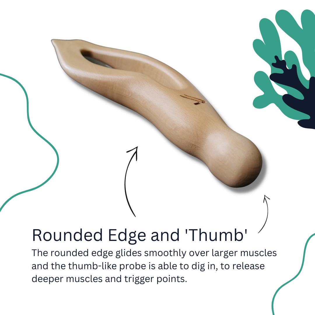 ZlaantShark - Handheld Massage Tool