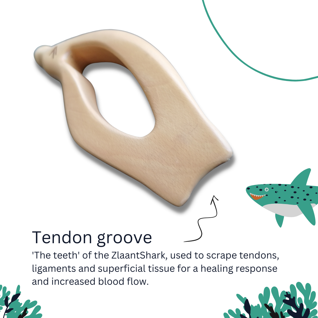 ZlaantShark - Handheld Massage Tool